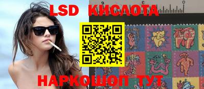 индика Усть-Джегута
