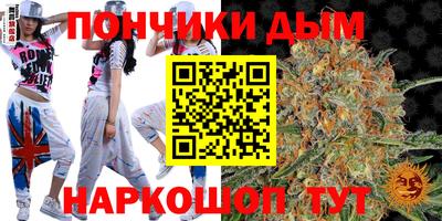 индика Усть-Джегута